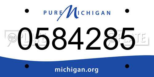 0584285 Michigan License Plate