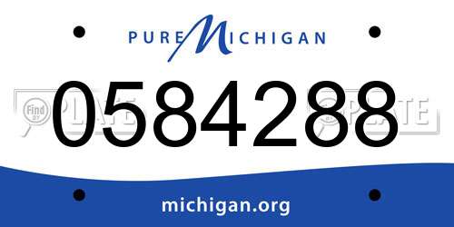 0584288 Michigan License Plate