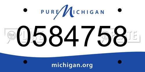 0584758 Michigan License Plate