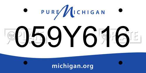 059Y616 Michigan License Plate