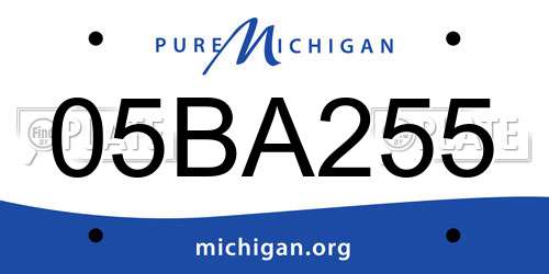 05BA255 Michigan License Plate