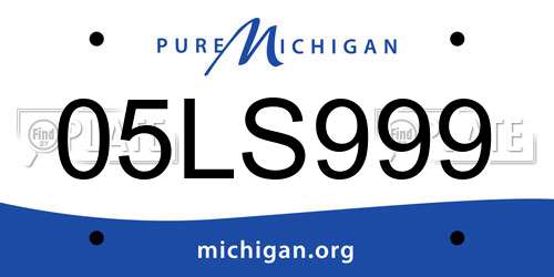 05LS999 Michigan License Plate