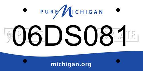 06DS081 Michigan License Plate