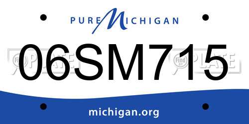 06SM715 Michigan License Plate