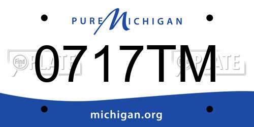 0717TM Michigan License Plate
