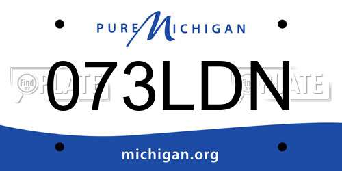 073LDN Michigan License Plate
