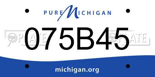 075B45 Michigan License Plate