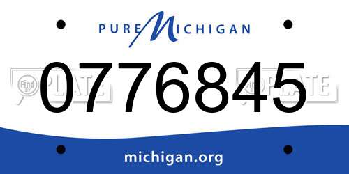 0776845 Michigan License Plate