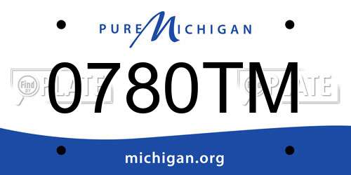 0780TM Michigan License Plate