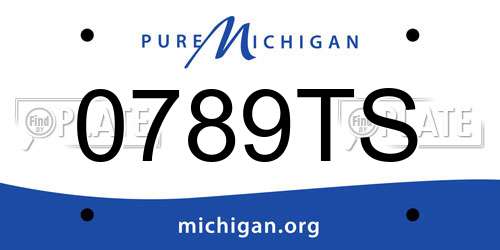 0789TS Michigan License Plate