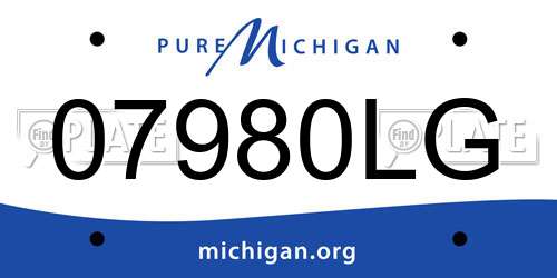 07980LG Michigan License Plate