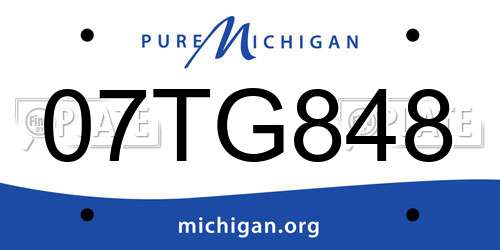 07TG848 Michigan License Plate