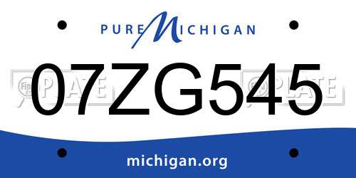 07ZG545 Michigan License Plate
