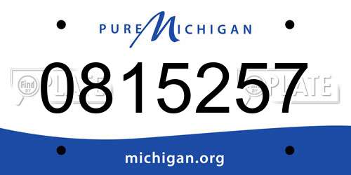 0815257 Michigan License Plate