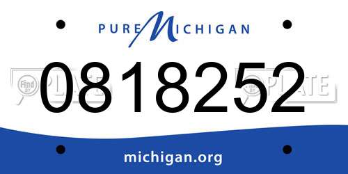 0818252 Michigan License Plate