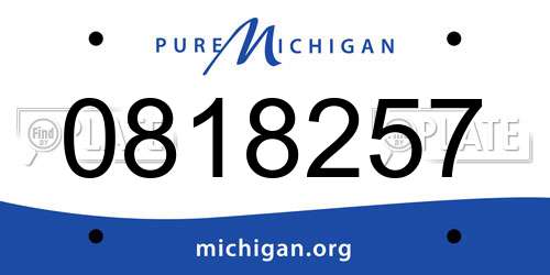 0818257 Michigan License Plate