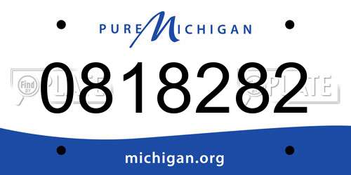 0818282 Michigan License Plate