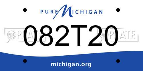 082T20 Michigan License Plate