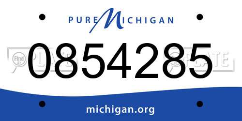 0854285 Michigan License Plate