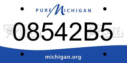 08542B5 Michigan License Plate