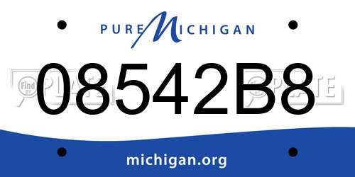 08542B8 Michigan License Plate