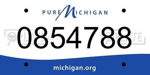 0854788 Michigan License Plate