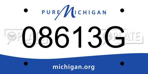 08613G Michigan License Plate
