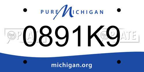 0891K9 Michigan License Plate