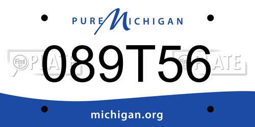 089T56 Michigan License Plate