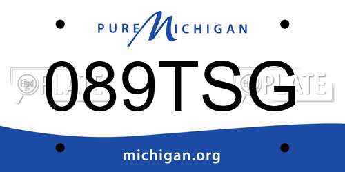 089TSG Michigan License Plate