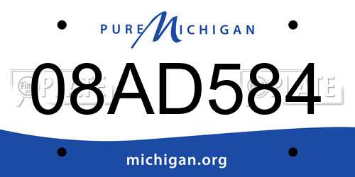 08AD584 Michigan License Plate