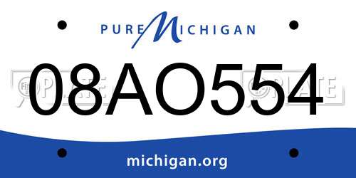 08AO554 Michigan License Plate