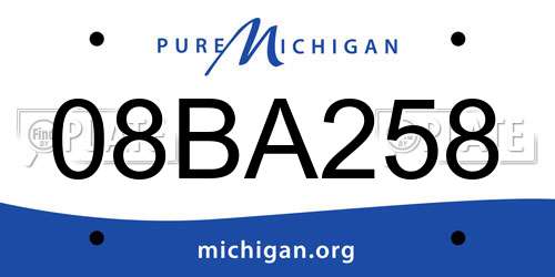 08BA258 Michigan License Plate