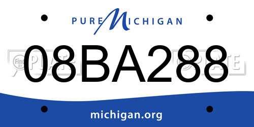 08BA288 Michigan License Plate