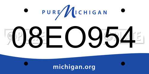 08EO954 Michigan License Plate
