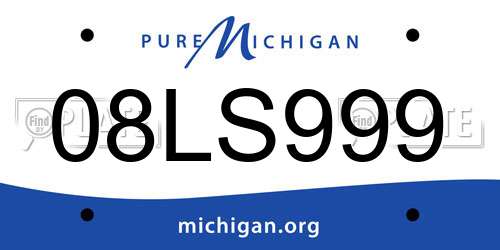 08LS999 Michigan License Plate