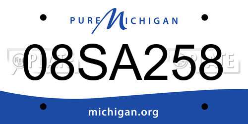 08SA258 Michigan License Plate