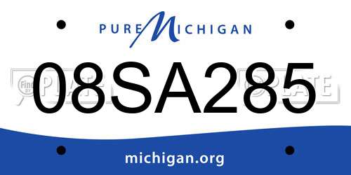 08SA285 Michigan License Plate