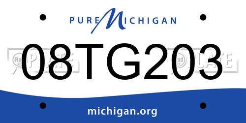 08TG203 Michigan License Plate