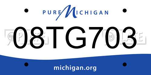 08TG703 Michigan License Plate
