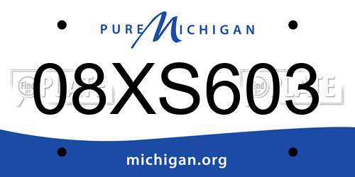 08XS603 Michigan License Plate