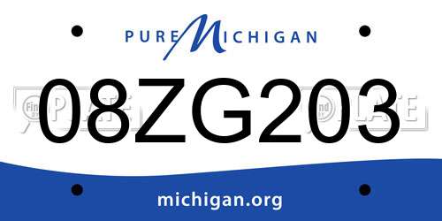 08ZG203 Michigan License Plate