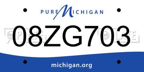 08ZG703 Michigan License Plate