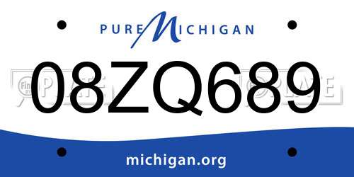 08ZQ689 Michigan License Plate