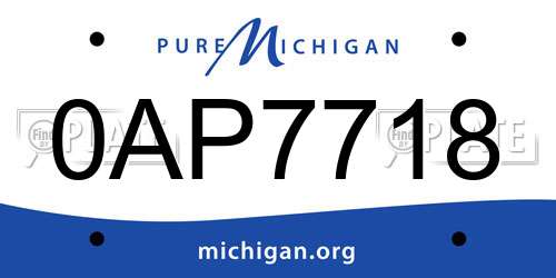 0AP7718 Michigan License Plate