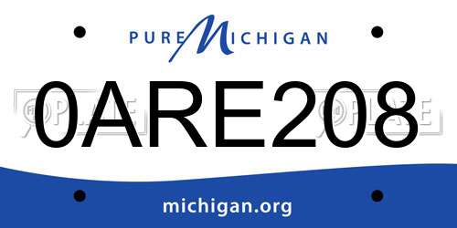 0ARE208 Michigan License Plate