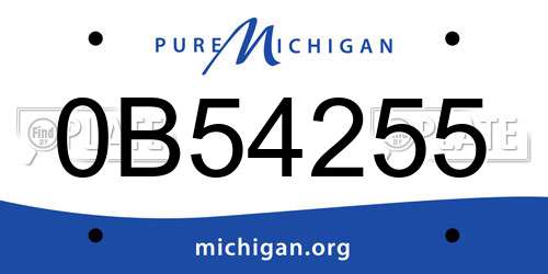 0B54255 Michigan License Plate