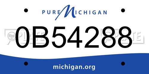 0B54288 Michigan License Plate