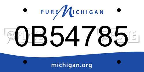0B54785 Michigan License Plate