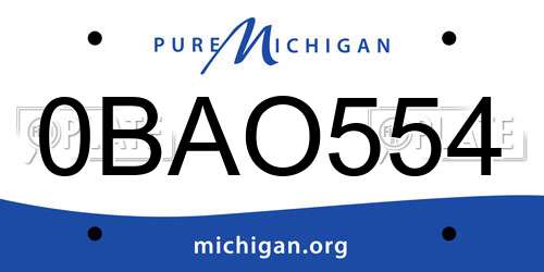 0BAO554 Michigan License Plate